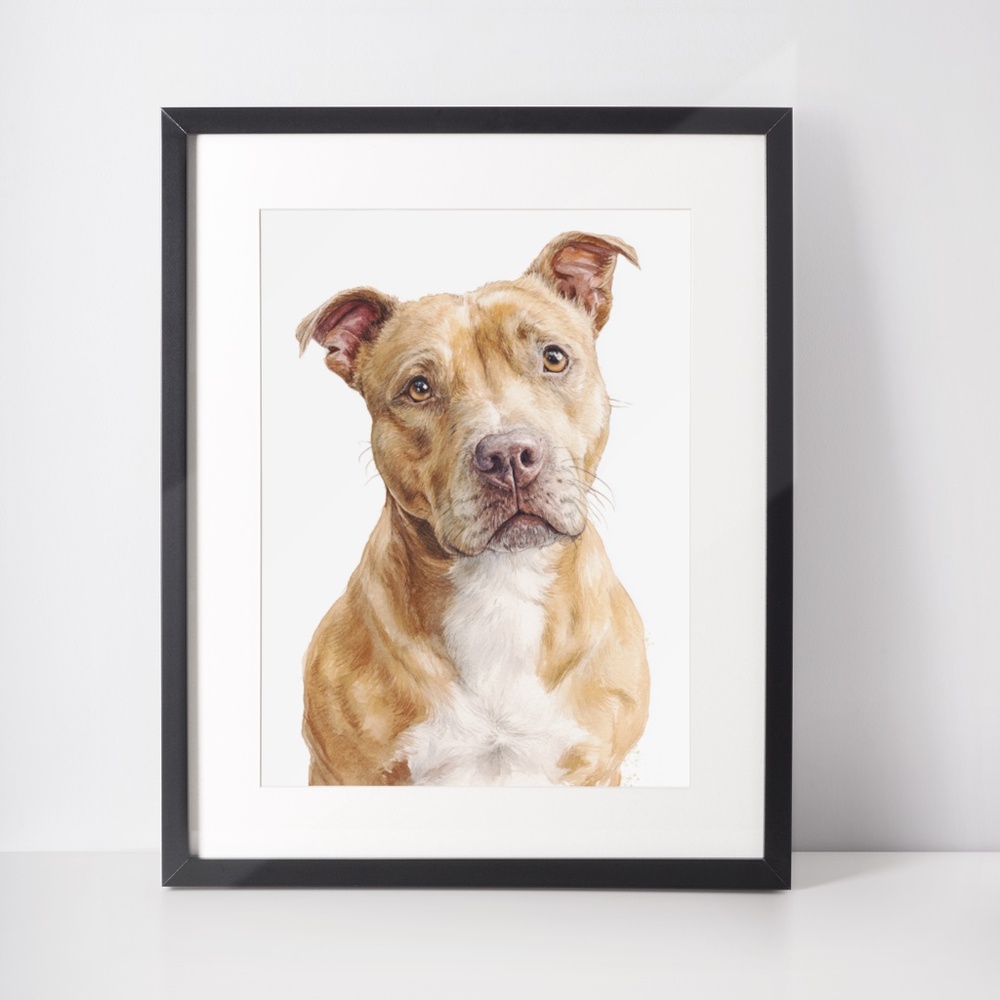 American Fawn Pit Bull Terrier Watercolor Wall Art Print Poster - Unframed - Picture 3 of 5